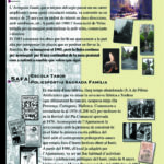 Reivindicacions