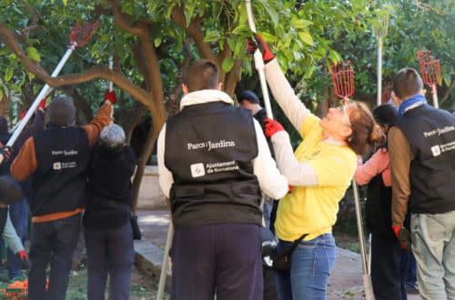 Barcelona Espigola 2025 Eixample